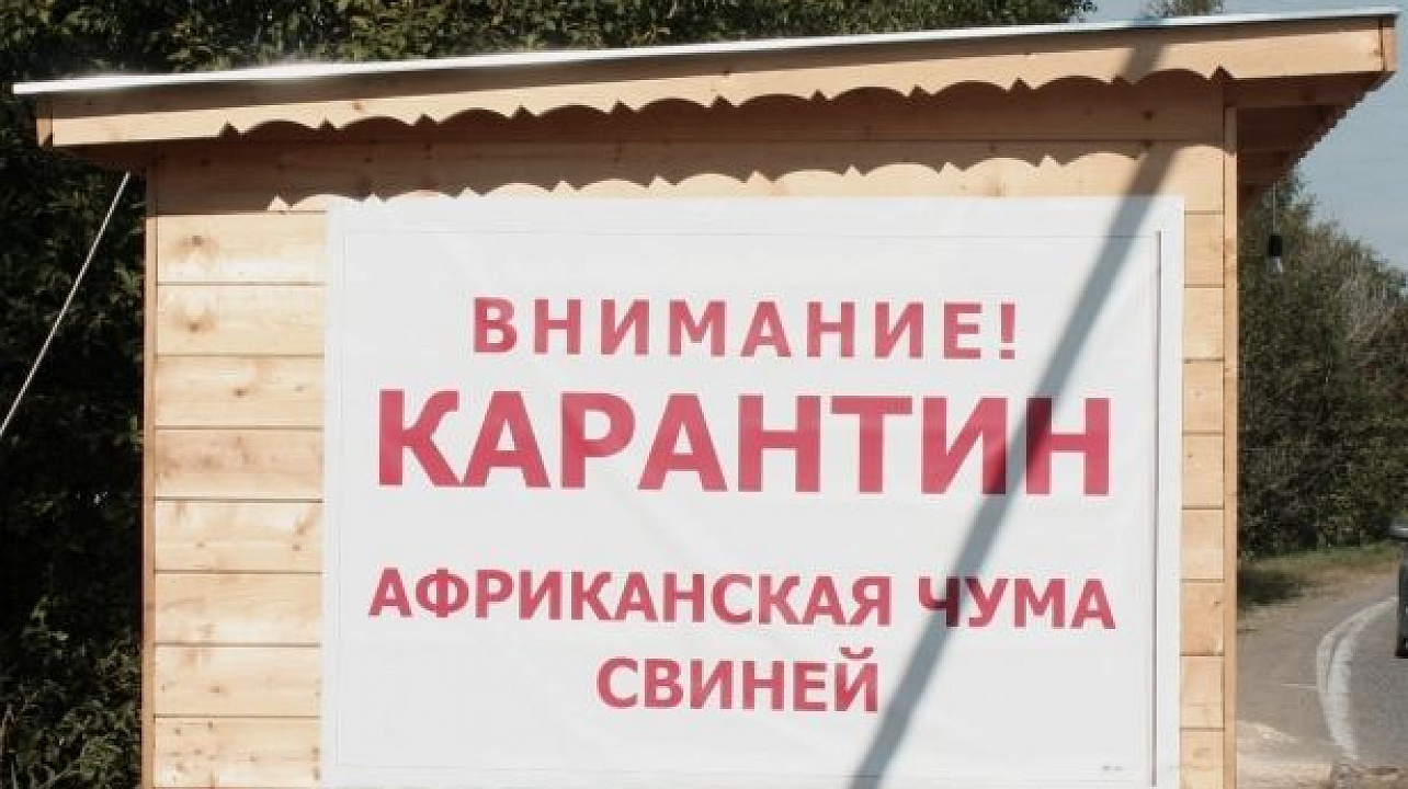 Администрация Прикубанского внутригородского округа информирует.jpg
