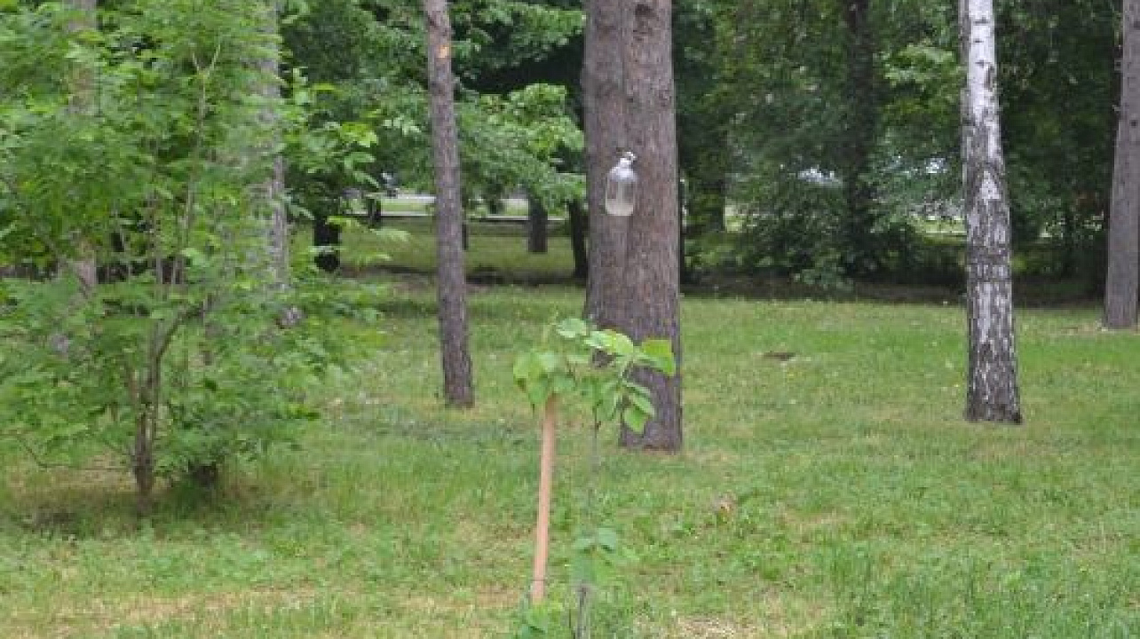 Фото: Пресс-служба администрации Краснодара