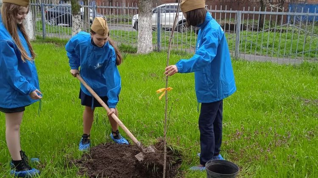 В школе № 43 заложили Аллею космонавтов