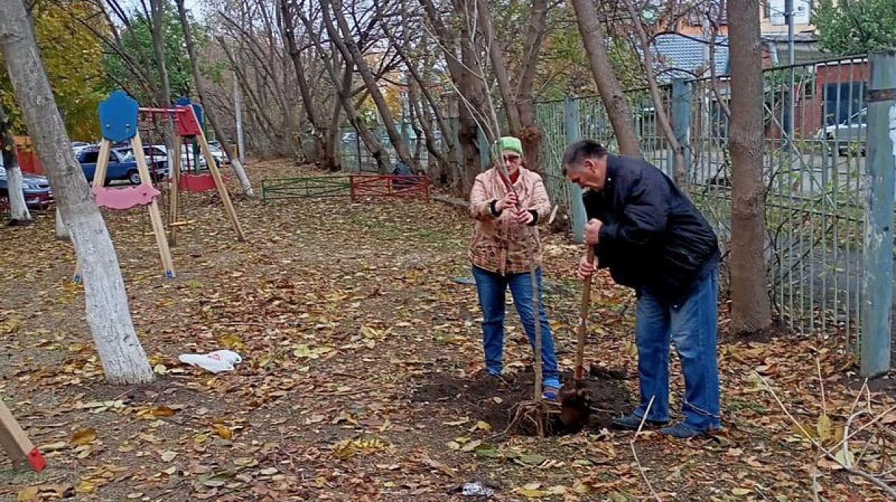 Почти тысяча деревьев и кустарников высажена в Центральном округе