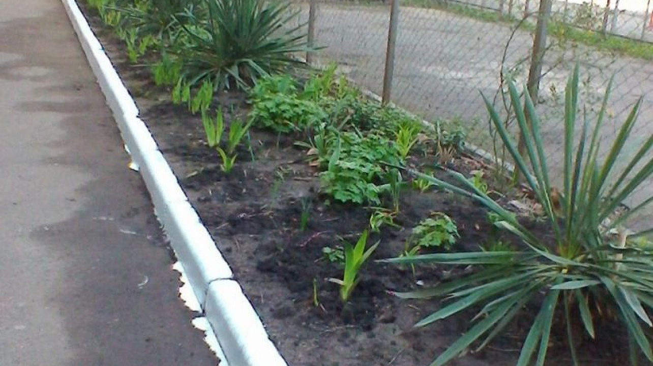 Во дворах Центрального округа продолжают наводить порядок