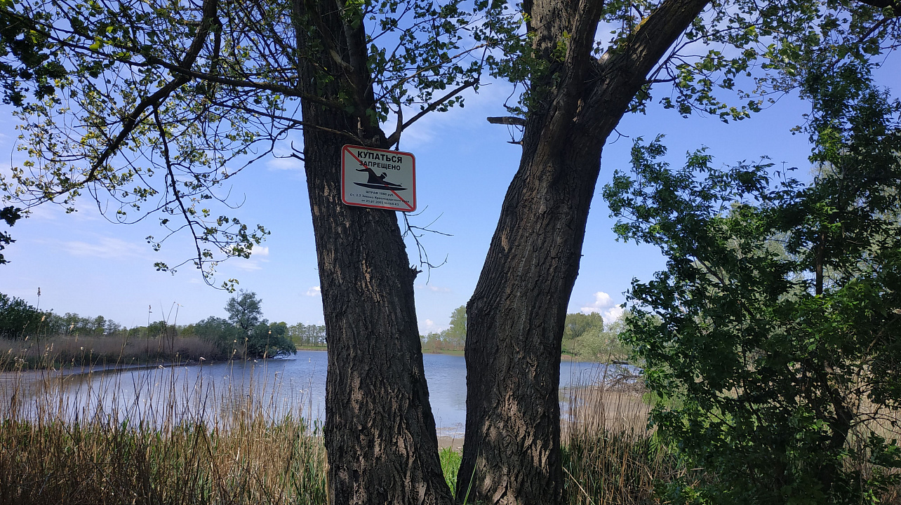 Внимание! Купание в водоемах Краснодара запрещено!