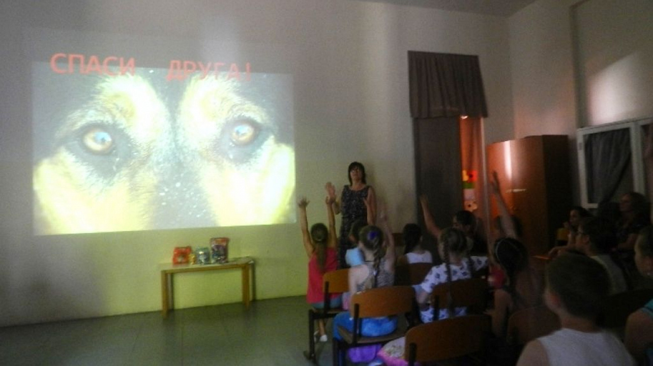 В библиотеке им. Н. А. Некрасова Западного округа прошла акция «Спаси друга!»