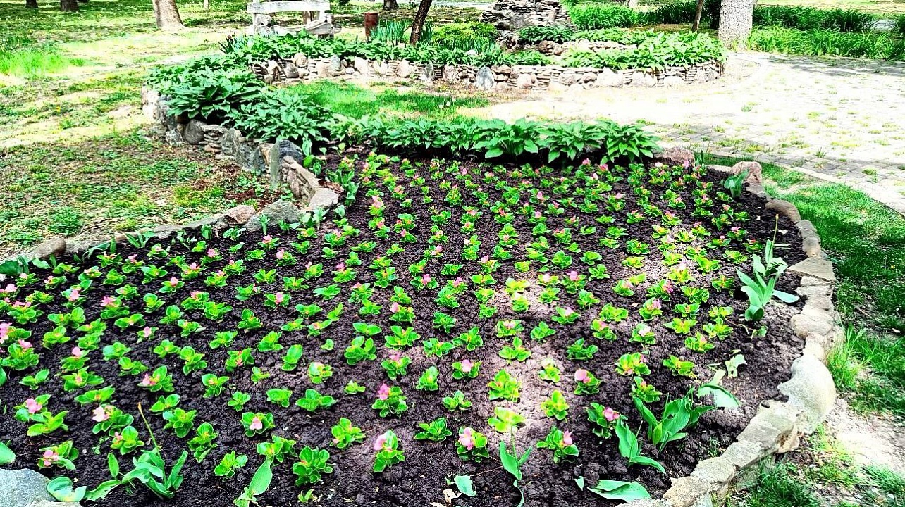 Фото: t.me/emnaumov