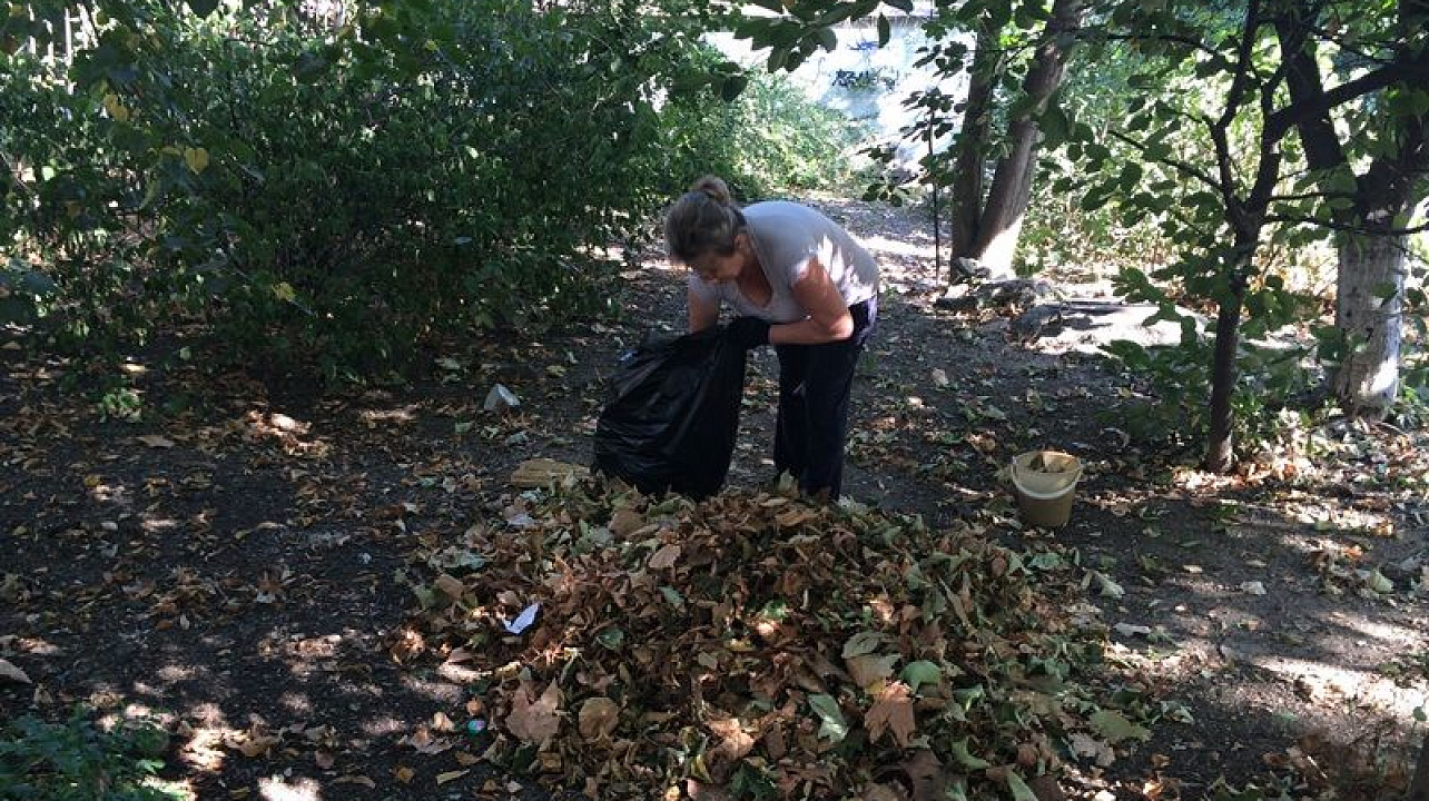 В Карасунском округе организован экологический субботник