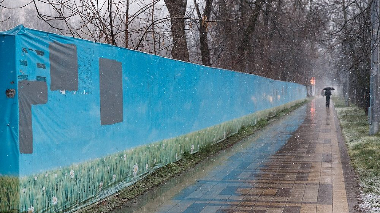 Фото: Даниил Коноплев