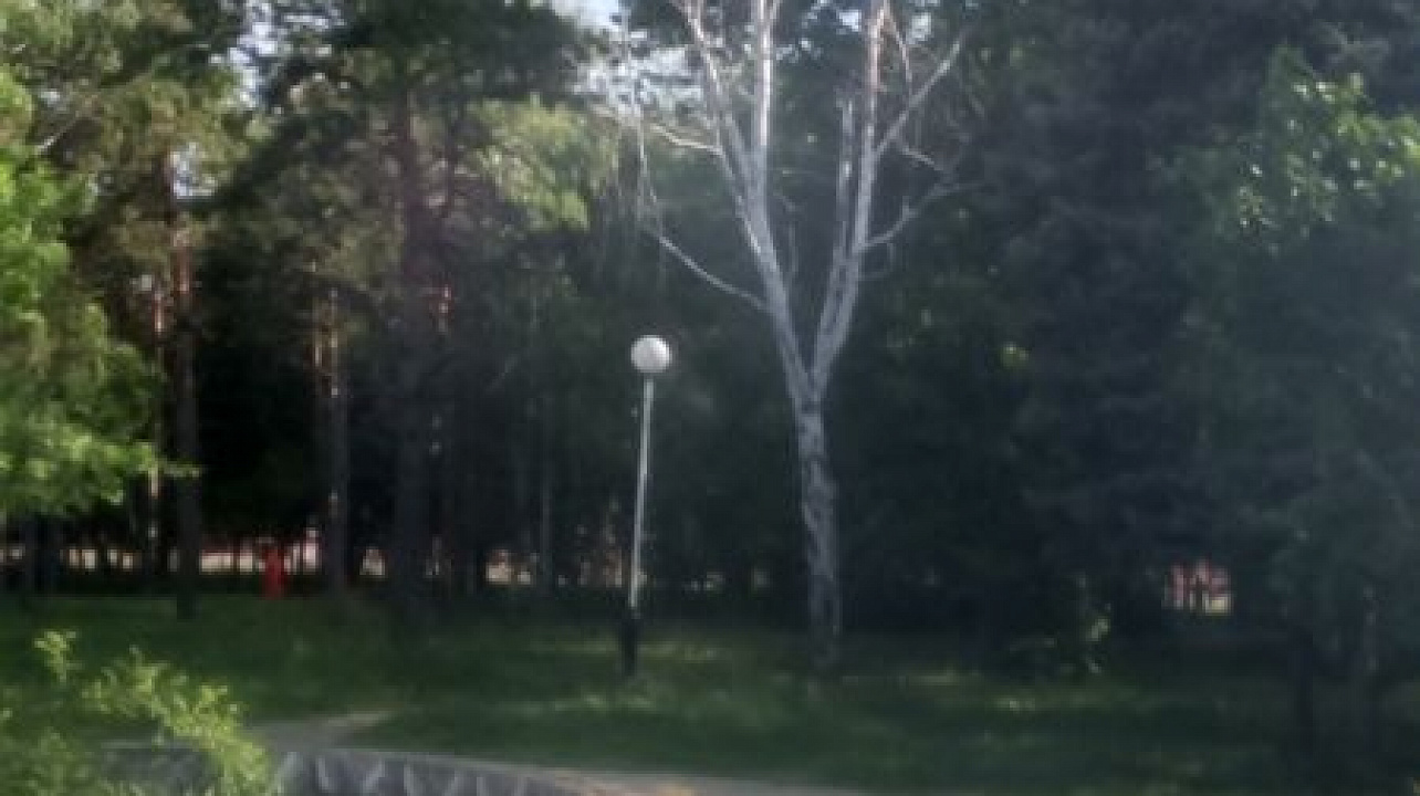 Фото: Пресс-служба администрации Краснодара