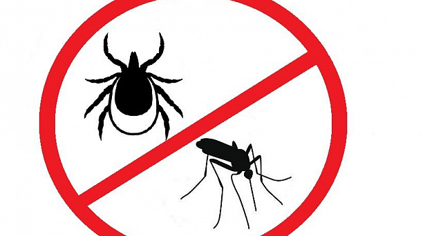 Будьте бдительны: комары и клещи могут быть переносчиками вируса Западного Нила