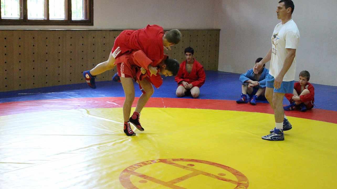 Самбо в ГТО