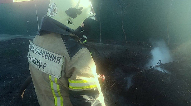 Обеспечивали безопасность в Рождество и очищали побережье Анапы: итоги работы городской Службы спасения за неделю