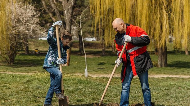 Евгений Первышов поручил ускорить разработку дендропланов 40 зеленых зон Краснодара