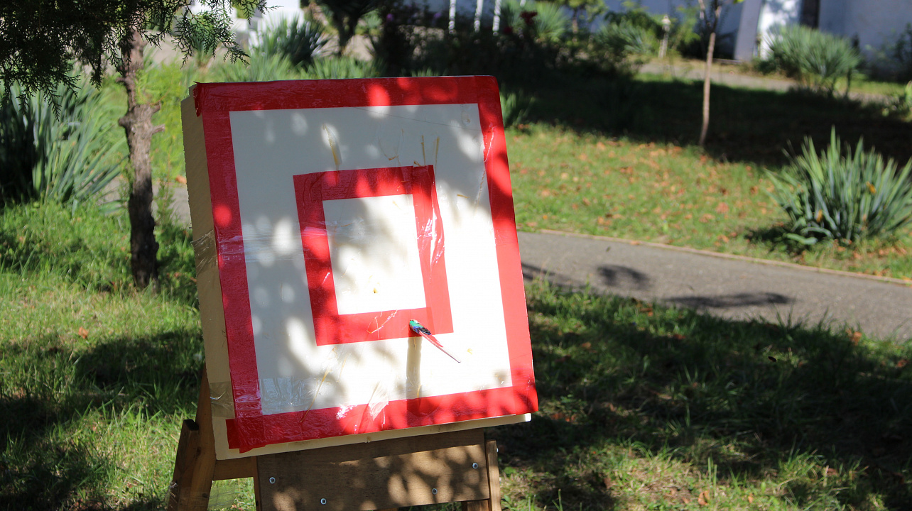 В рамках акции Спорт Zа Наших в Краснодаре прошёл мастер-класс по прохождению полосы препятствий и военно-прикладным дисциплинам