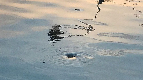 В Краснодаре на двух территориях продолжаются работы по ликвидации последствий сильного ливня