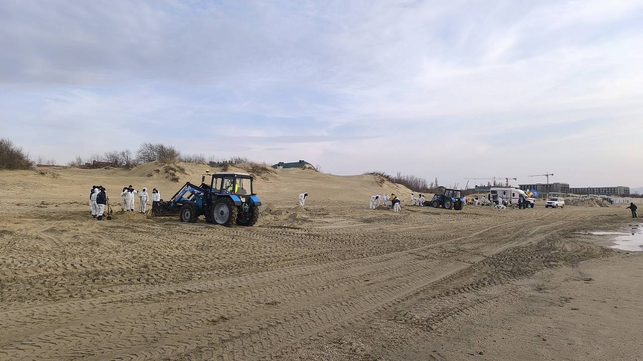 Фото: пресс-служба администрации Краснодара