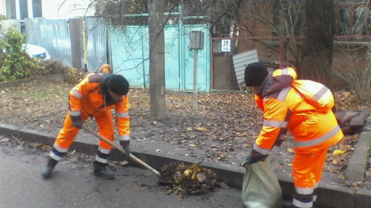 В Западном округе проходит масштабная уборка опавшей листвы