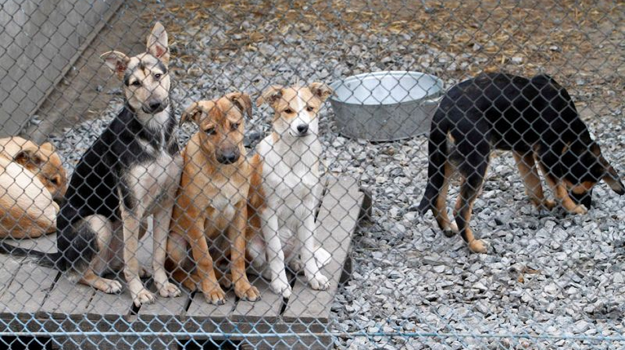 Администрация Западного округа информирует