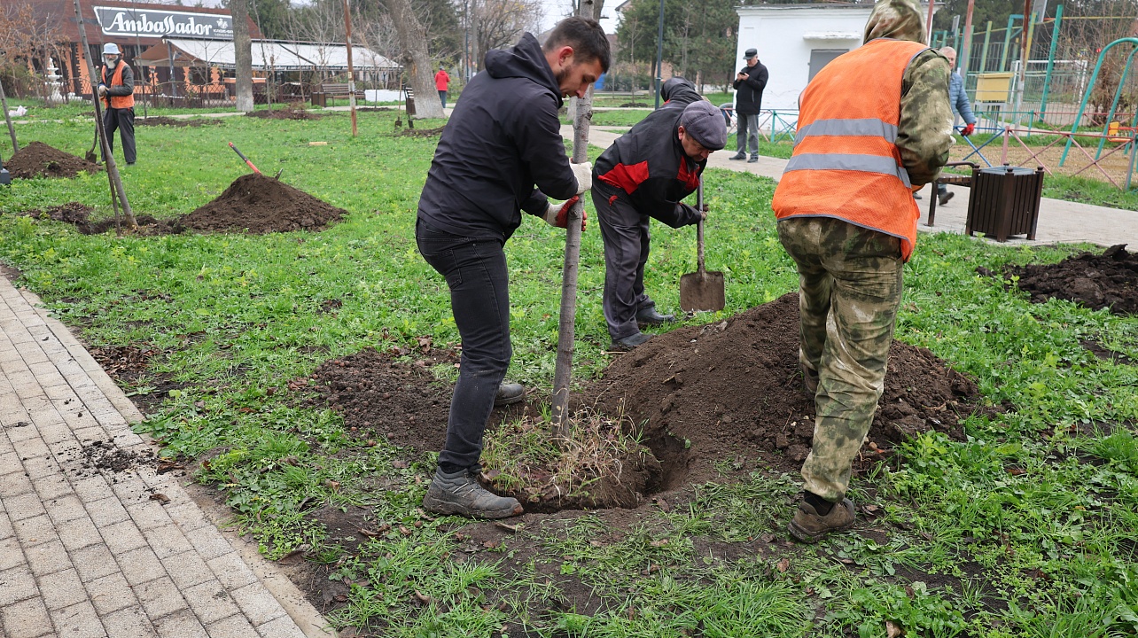 Фото: администрации Центрального округа
