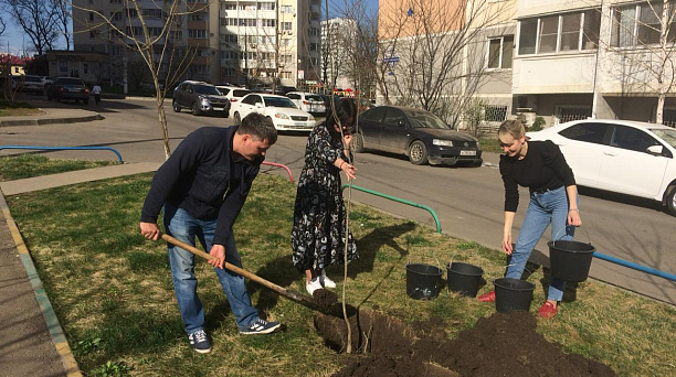 В мкр. Большой Восточно-Кругликовский высадили деревья