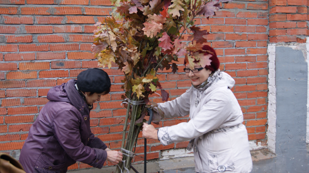 В Западном округе прошла акция «Любишь свой город — посади дерево»
