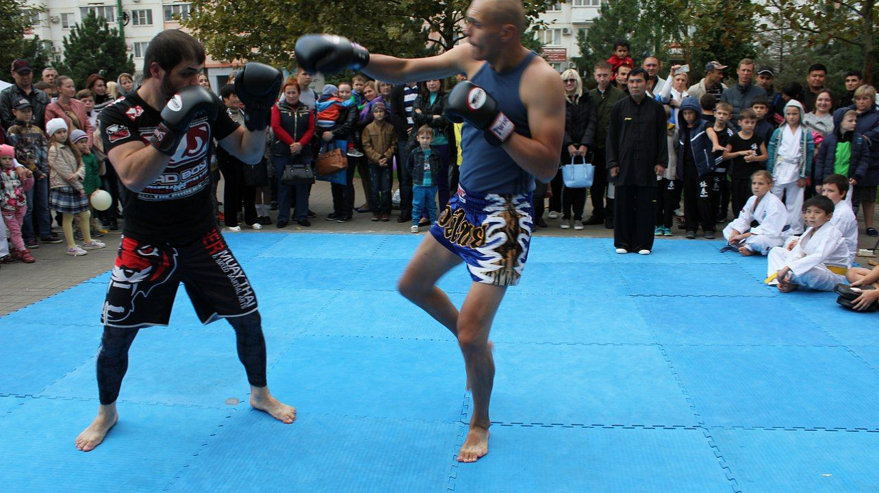В Западном округе прошёл фестиваль боевых искусств: «Сыны отечества»