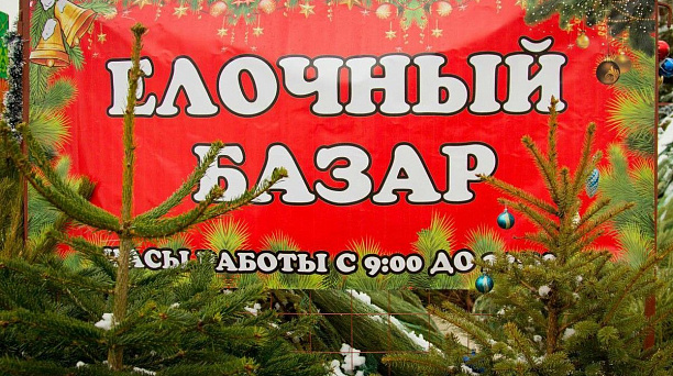 Ёлочные базары в Краснодаре начнут свою работу с  15 декабря