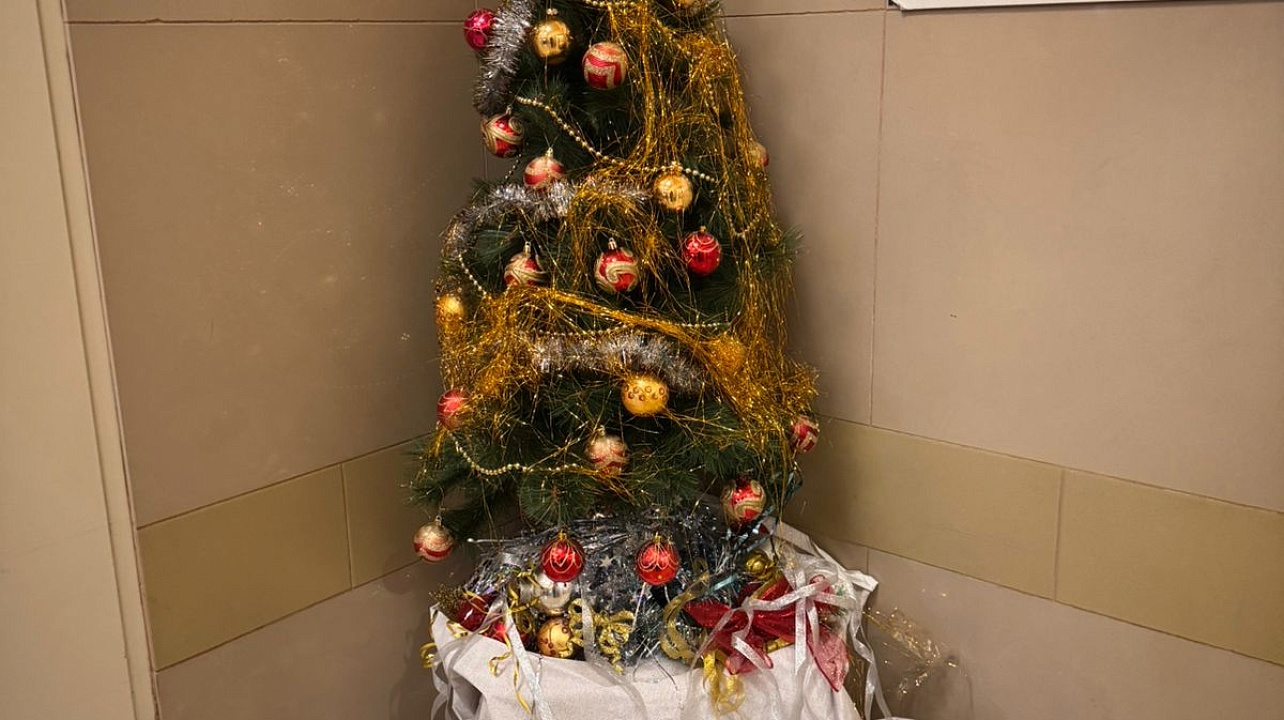 Фото: администрации Центрального округа