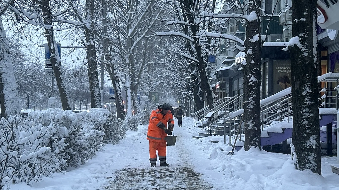 Фото: Пресс-служба администрации Краснодара