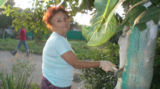 В поселках Лазурный, Победитель и Индустриальный прошли субботники