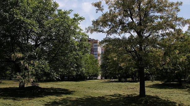 Благоустройство парка в Молодёжном микрорайоне Краснодара начнут в 2021 году