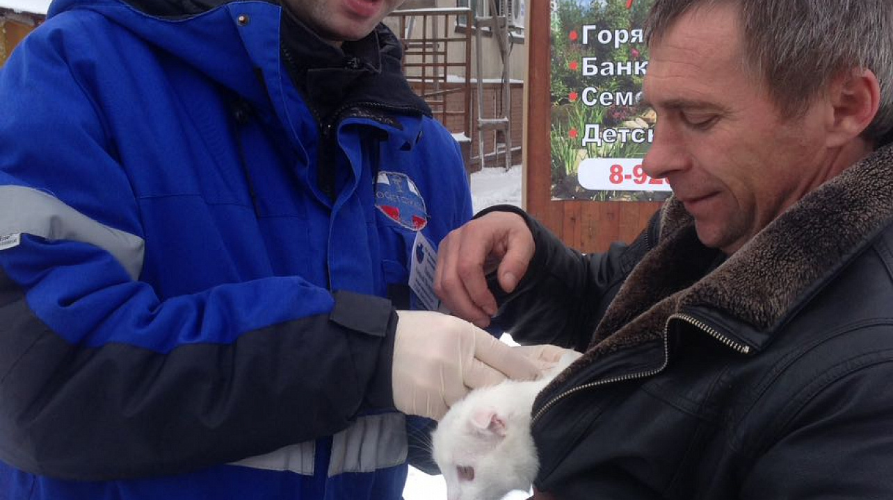 В поселках Российский, Индустриальный и Победитель и хуторе Октябрьский прошла вакцинация домашних животных