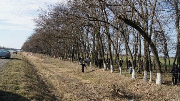 В Краснодаре прошла общегородская акция по наведению санитарного порядка