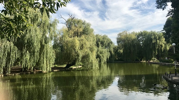 По решению Евгения Первышова в Городском Саду построят новую спортивную площадку