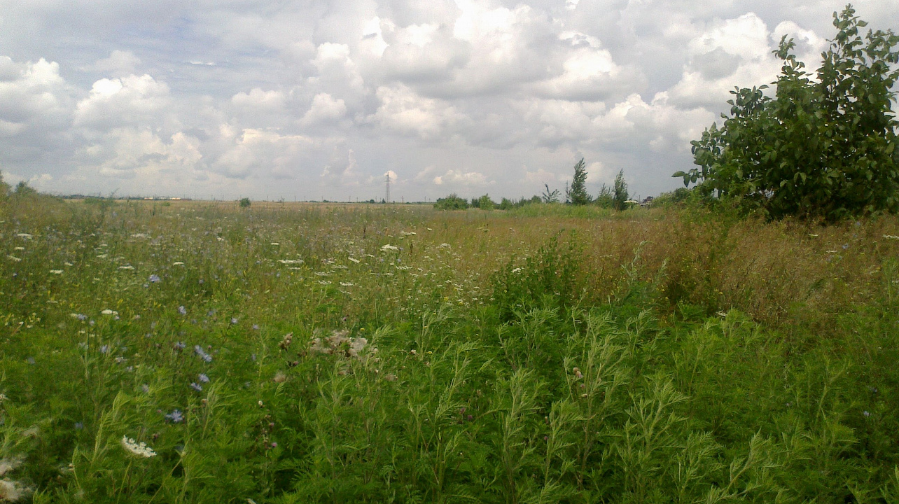 Администрация информирует