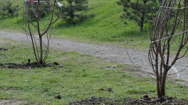 По поручению Евгения Первышова в Краснодаре приступили к проектированию Народного парка