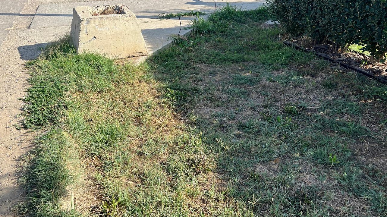 Общегородской субботник прошёл в Прикубанском округе