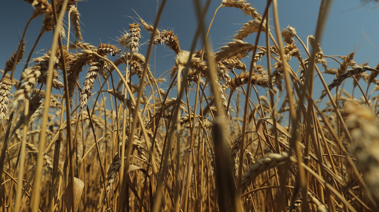 Фото: Станислав Телеховец