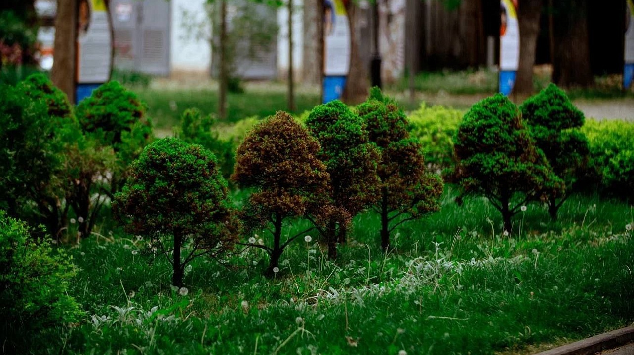 Фото: t.me/emnaumov