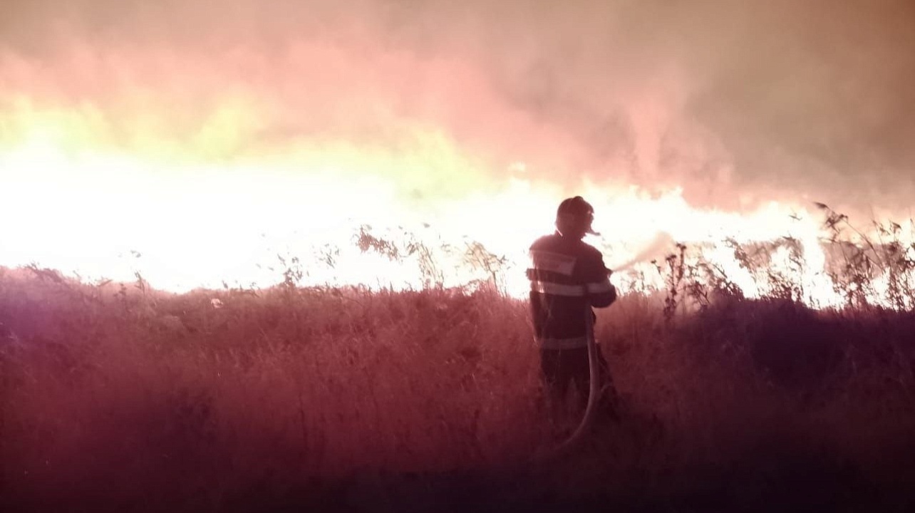 Фото: Пресс-служба администрации Краснодара