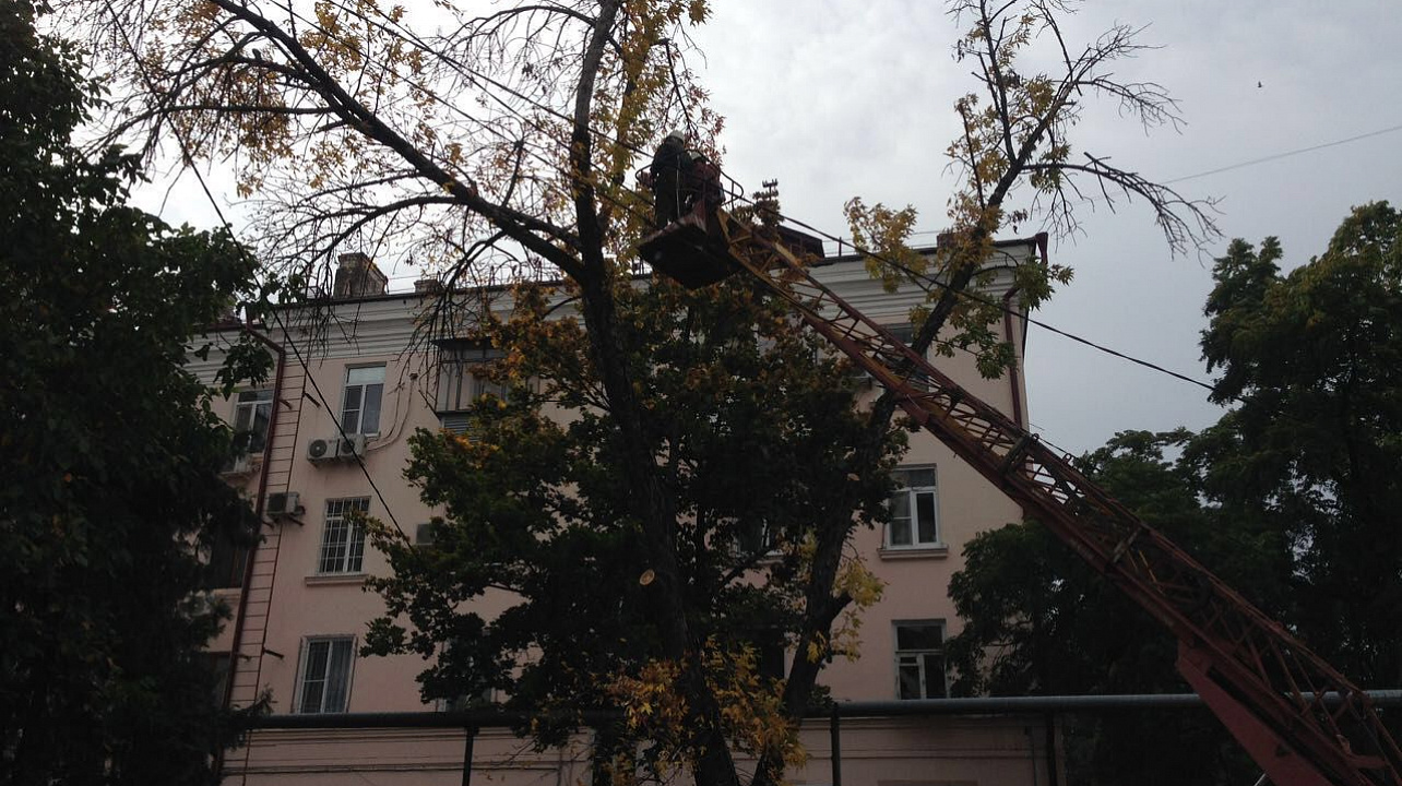 Администрация Западного округа информирует