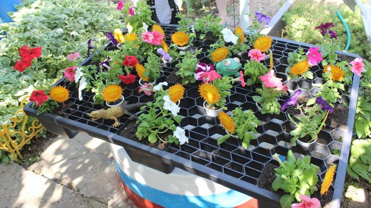 Центральный округ принял участие в городском конкурсе на лучший орган ТОС