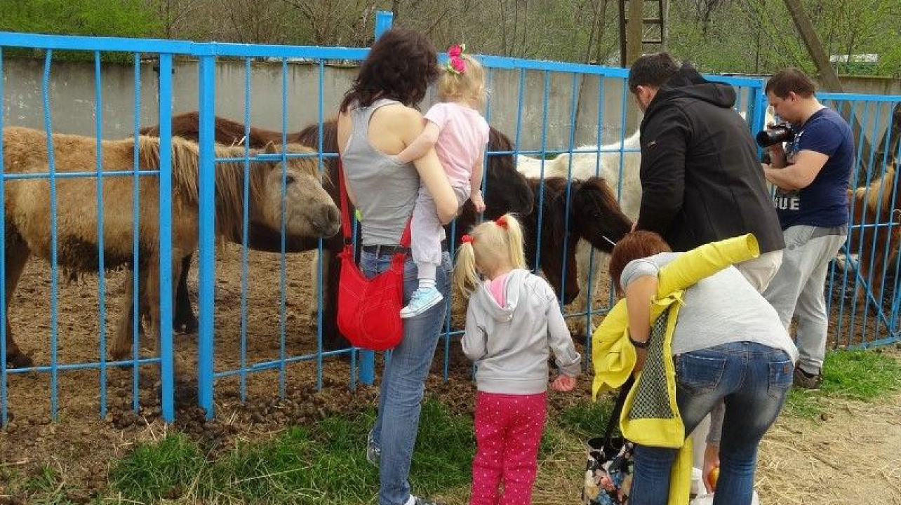 Долгожданных гостей встретили в конно-спортивном комплексе (1).JPG