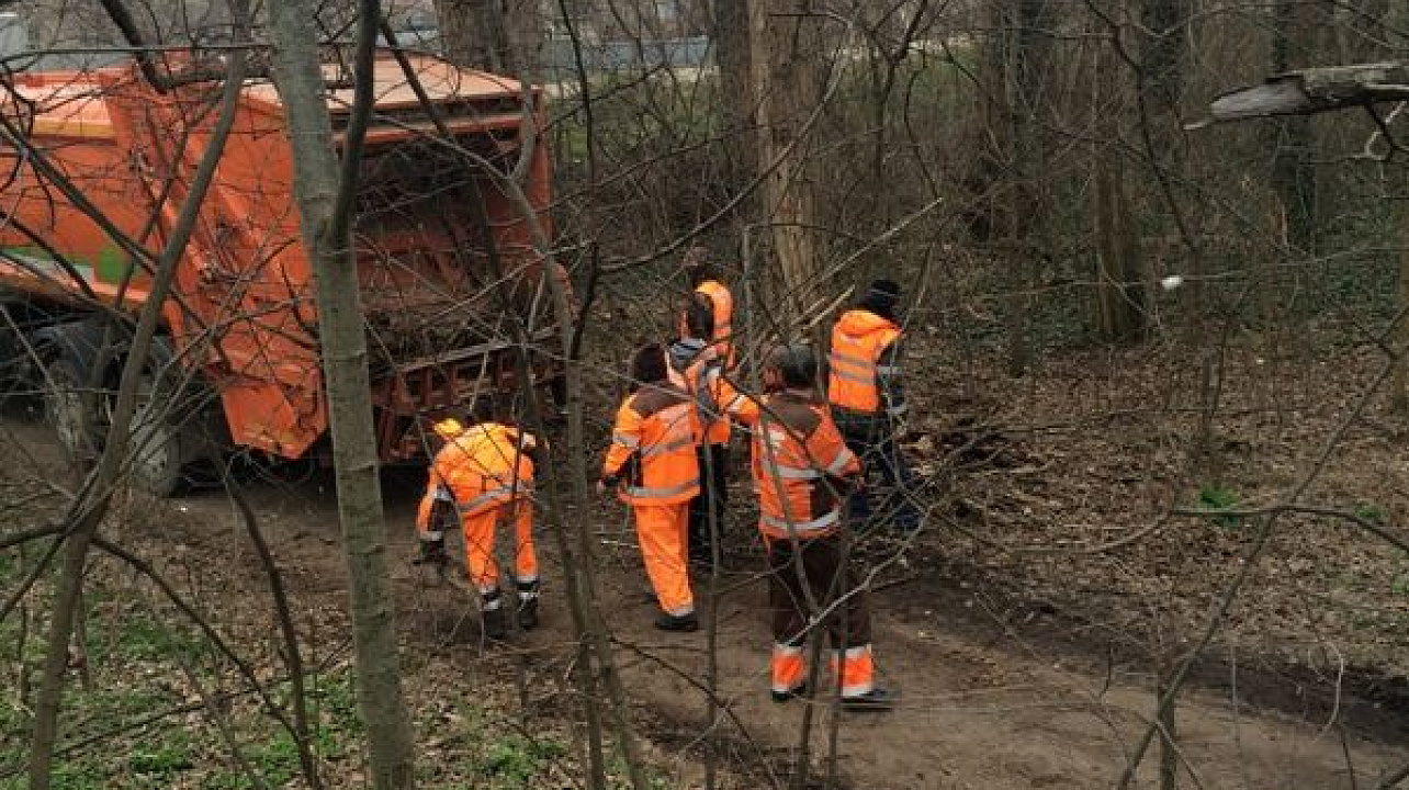 Мусороуборочная компания  вышла на зачистку берега Кубани