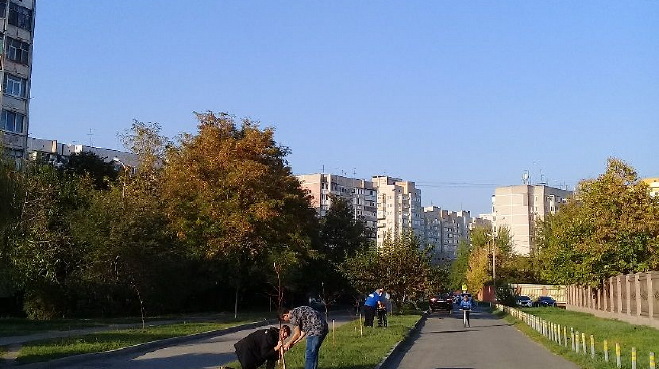 В Юбилейном микрорайоне высажены новые деревья