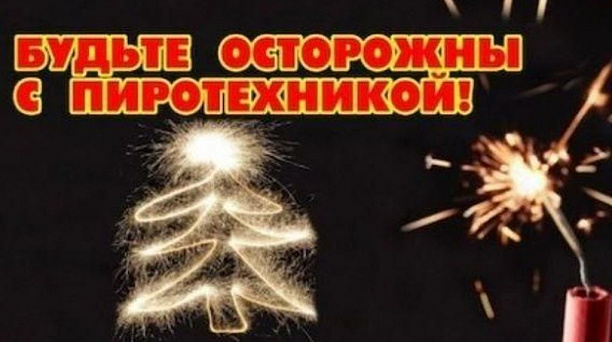 Администрация Западного округа напоминает правила поведения в общественных местах во время проведения новогодних мероприятий