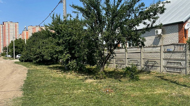 Покос амброзии активно продолжается