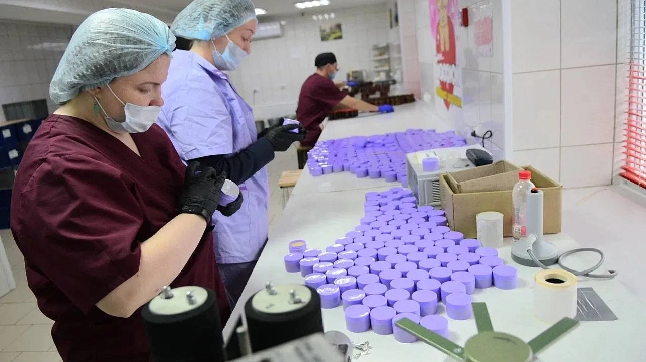 Фото: Пресс-служба администрации Краснодара