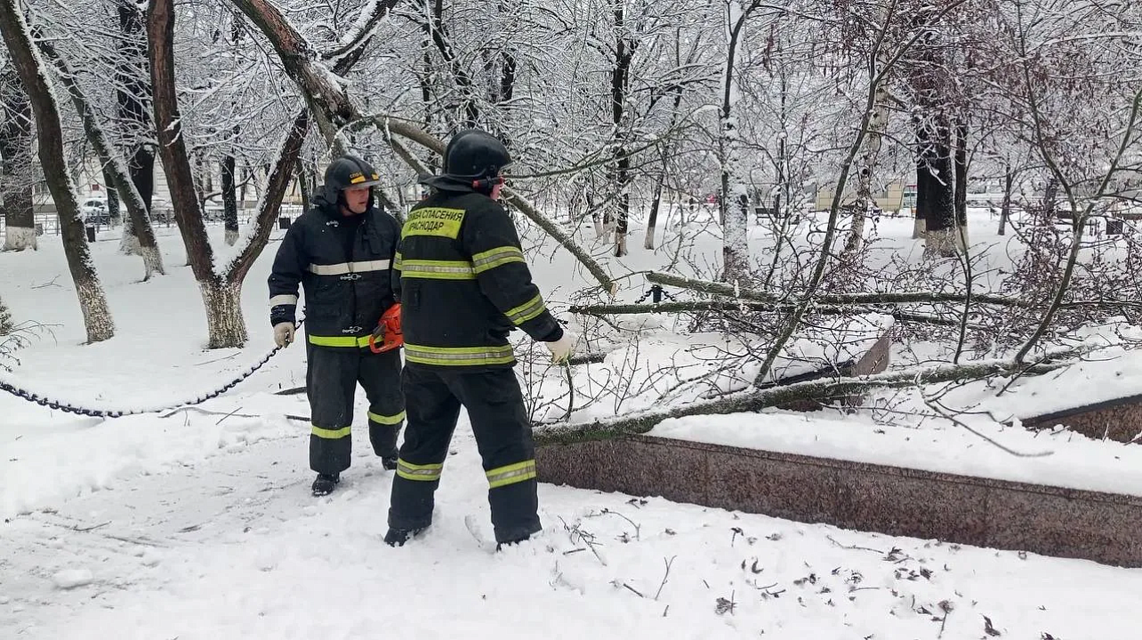 Фото: max.ru/emnaumov