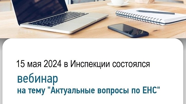15 мая 2024 в Инспекции состоялся вебинар