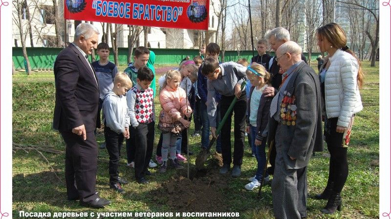 В Краснодаре стартовала акция Лес Победы (1).jpg