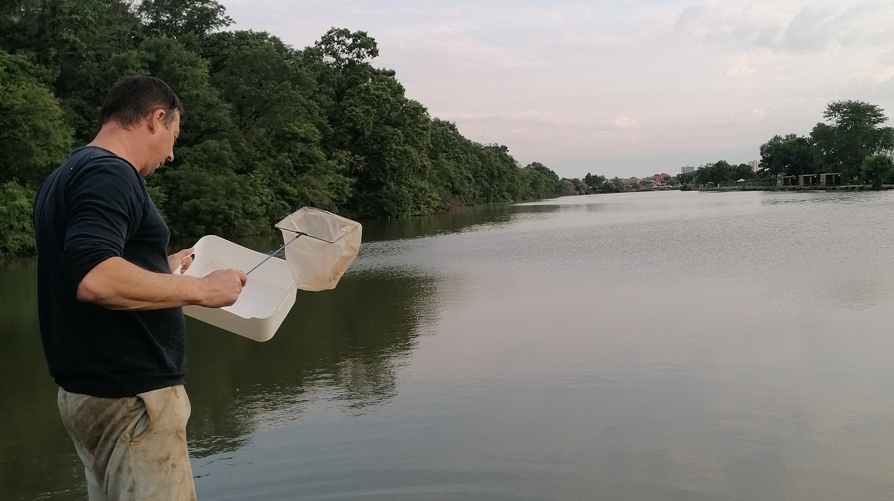 Фото: МКУ «Центр озеленения и экологии»